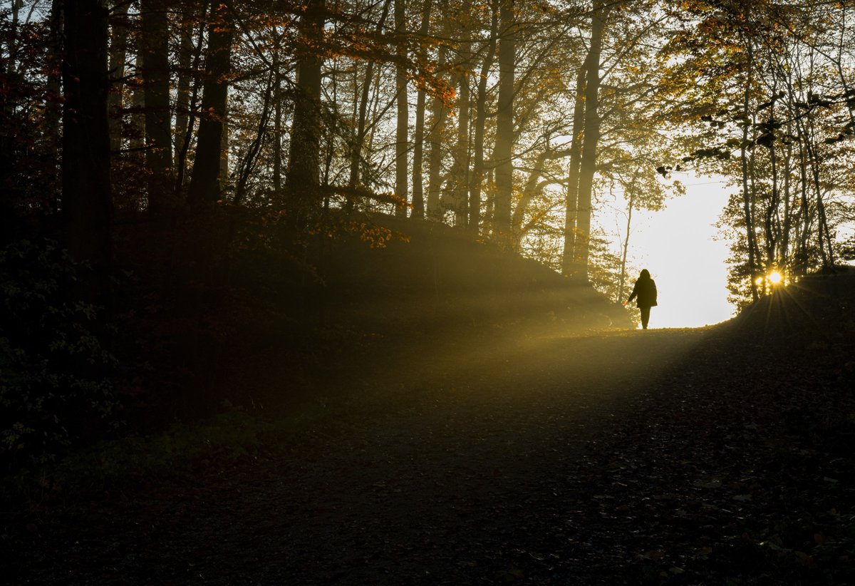 Waldweg im Gegenlicht, eine Person geht auf das Licht zu